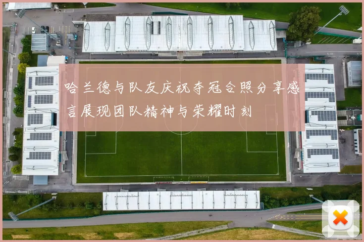 哈兰德与队友庆祝夺冠合照分享感言展现团队精神与荣耀时刻